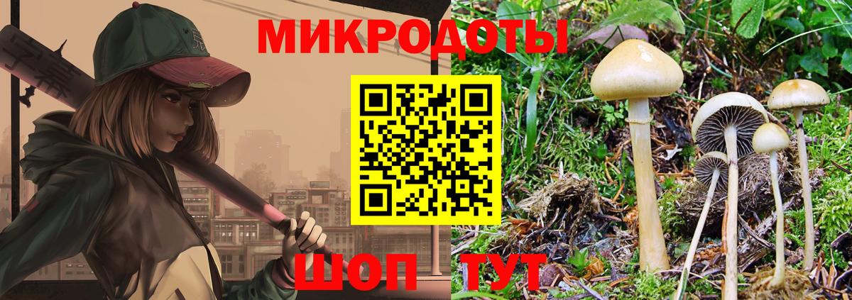 Галлюциногенные грибы Magic Shrooms Краснодар