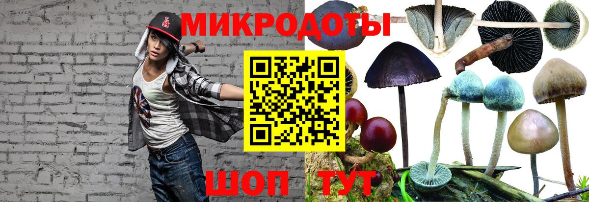 Псилоцибиновые грибы Psilocybe  Вход с VPN  Краснодар 