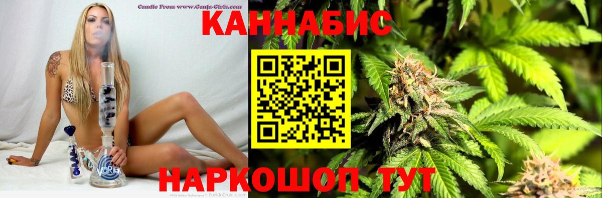 Конопля планчик  Каннабис сатива  Вход с VPN  Краснодар 